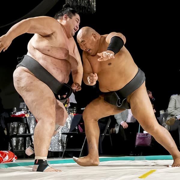 LIVE SUMO