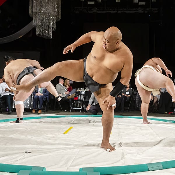 sumo sushi sumo sushi