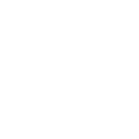 sss.logo.white sss.logo.white