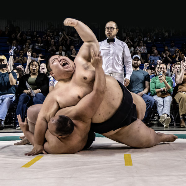 sumosushi16 sumosushi16