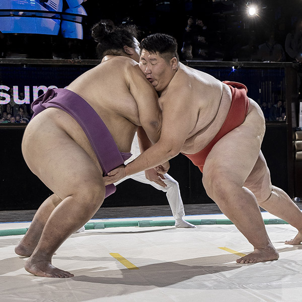 sumosushishow